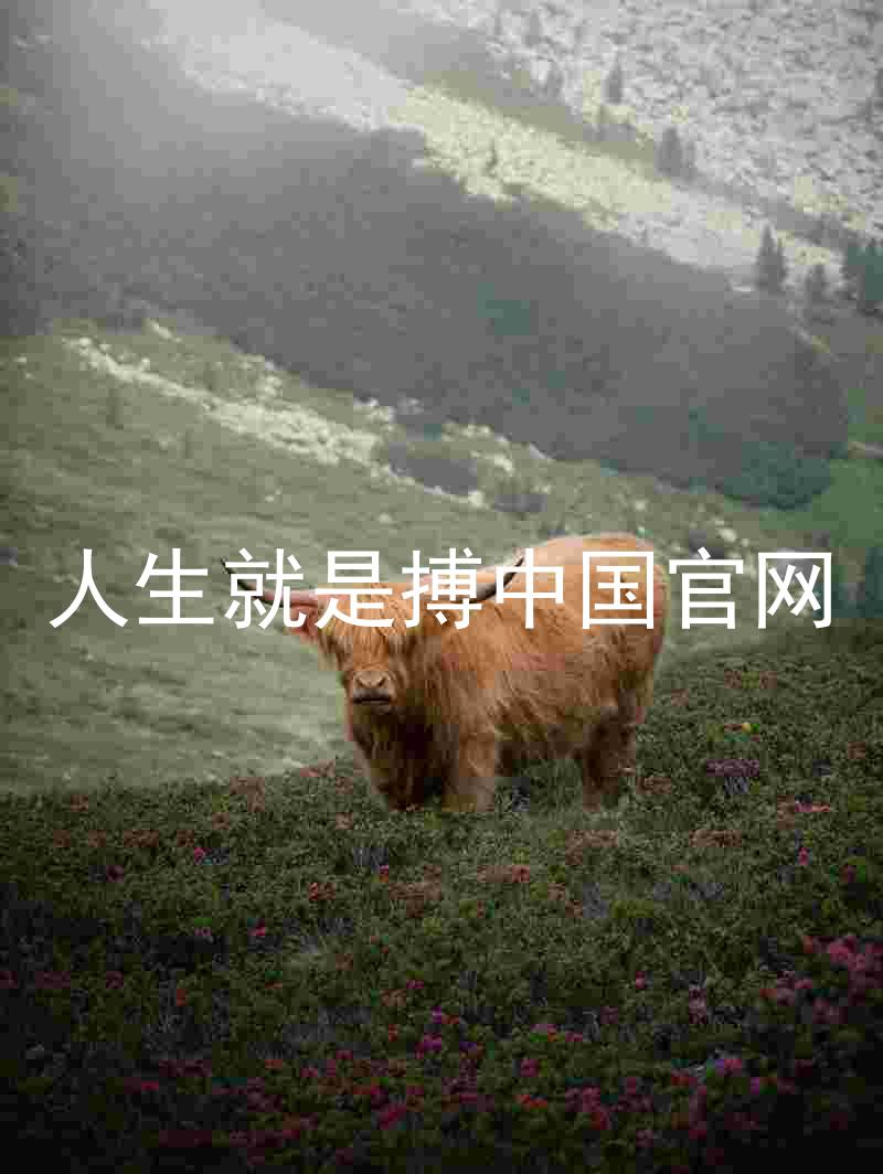 人生就是搏中国官网
