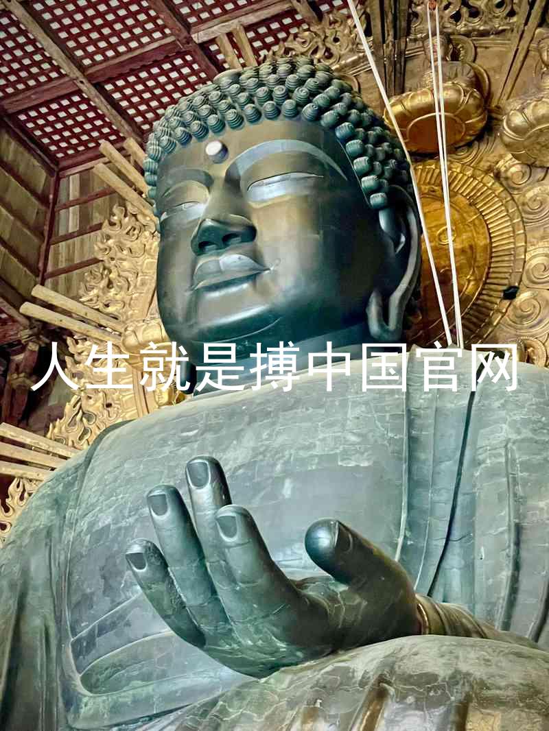 人生就是搏中国官网