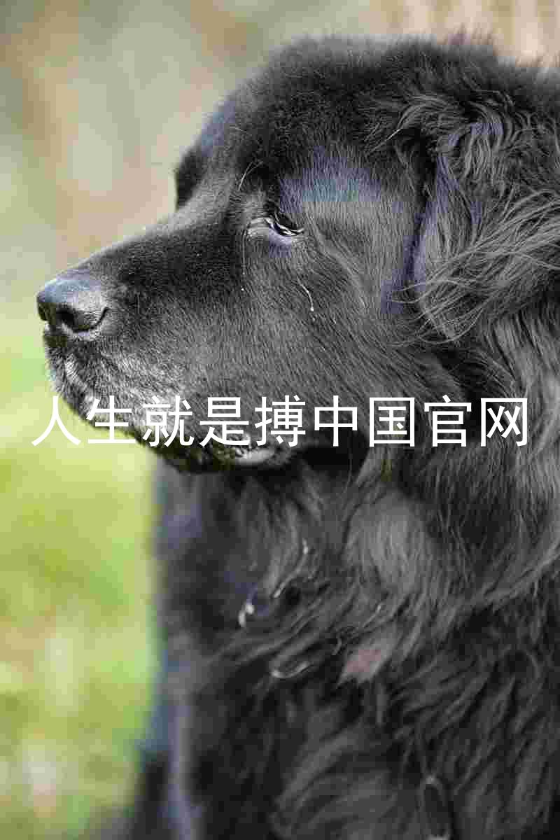 人生就是搏中国官网